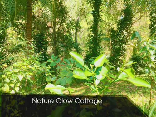 Nature Glow Cottage