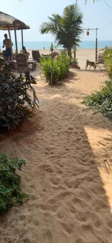 Monsoon, Agonda (photo 7)