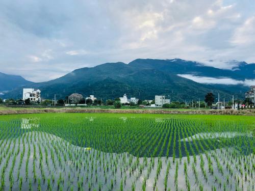稻香緣民宿 (民宿編號花蓮民宿1762) psminshuku