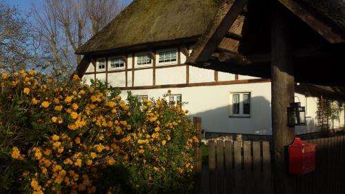 Gemütliche Ferienwohnung unterm Reetdach in Boiensdorf, Deutschland