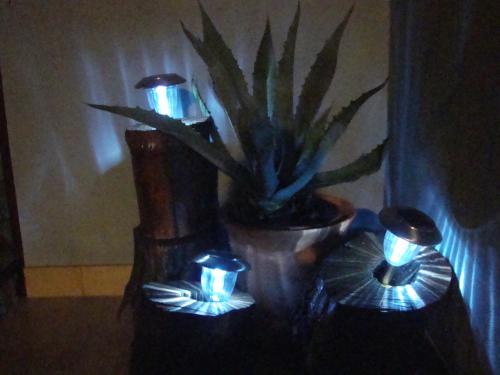  Apartmani Mislav in Slatine