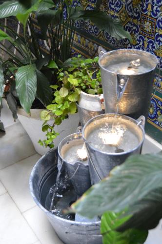  Alojamientos con encanto en casa de patio in Córdoba