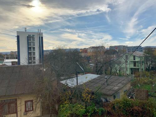 Апартаменти на Довбуша, Truskavec' (foto 10)