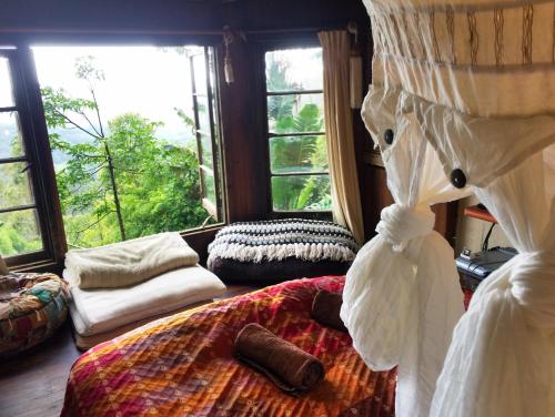 The Den of the Treehouse, KINABALU Farm in The Pocket