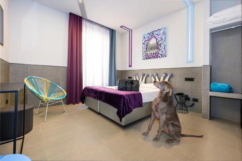 Hotel Relais Dei Papi, Řím (fotografie 10)
