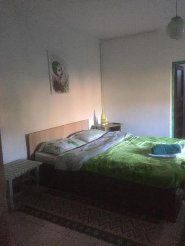 Vila Licurici - main image