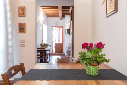 Apartment with Terrace image 7