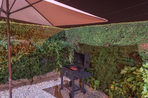 Club Villamar - Aygo - image 6