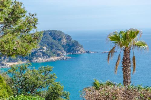 Club Villamar - Neruda gîte à louer Romanyà de la Selva