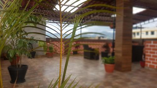 Hotel Los Nogales – Cajamarca
