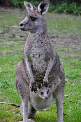 Qdos, Lorne (photo 9)