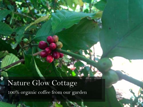 Nature Glow Cottage