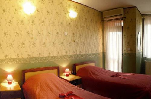 Ambaritsa Hotel - image 9