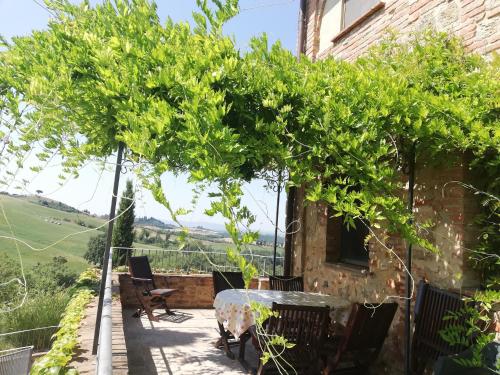 Holidays in apartment with swimming pool in Tuscany Siena