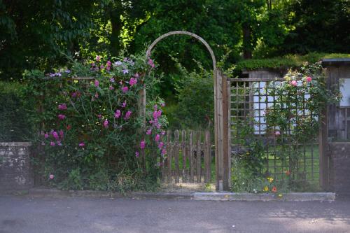 Gasthof Adler - image 5