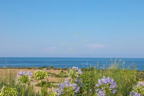 Trulli&Dimore - Villa Ponente - image 12