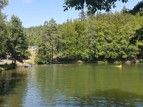 Ferienhaus direkt am See Mobilheim am Schönsee (Ferienhaus direkt am See Mobilheim am Schonsee) in 伯恩斯豪森