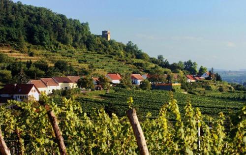 Prabatsch-Aichinger Winzergut in 朗根洛伊斯