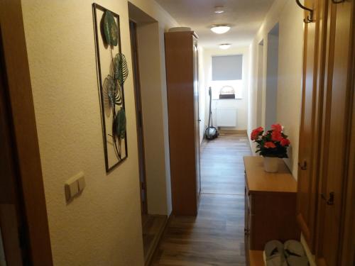 ทางเข้า, Ferienwohnung auf dem Land in แฟรงเกนเบิร์ก