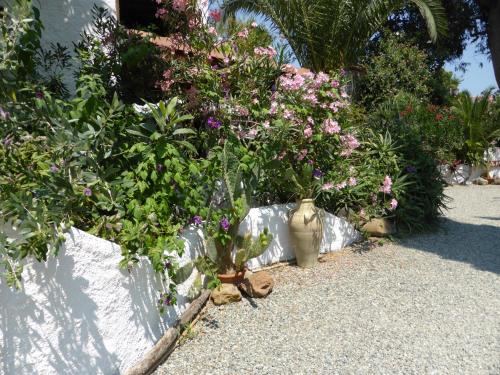 Relais de Bravone - image 3