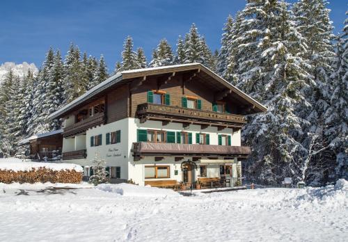 Pension Apartment Steiner - image 2