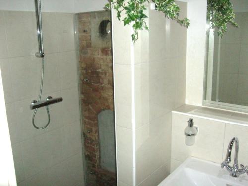 Bathroom, Landgoed De Lavei in Zenderen