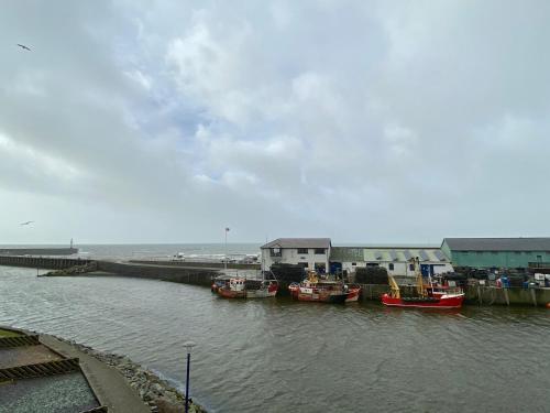 46 Y Lanfa, Aberystwyth (foto 7)