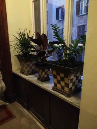 CasaLeone, Roma (foto 8)