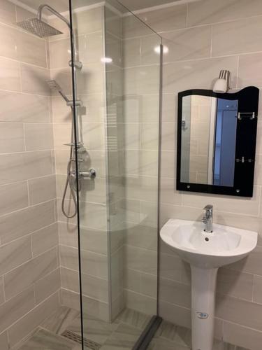 1 queen bed, 1 sofa bed