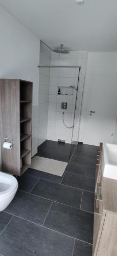 淋浴間, Schöne Wohnung in Walenstadt (Schone Wohnung in Walenstadt) in 瓦倫斯塔特