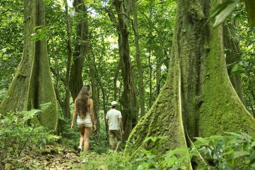 Eco Lodge Village Temanoha