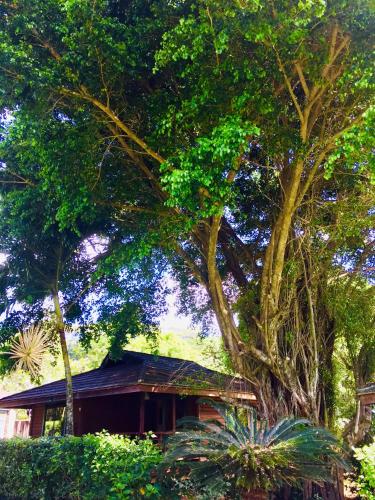 Eco Lodge Village Temanoha