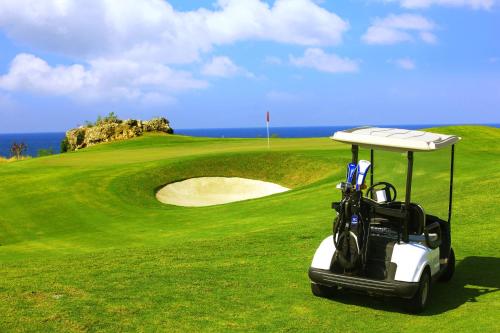 Thunderbird Resorts - Poro Point photo 1