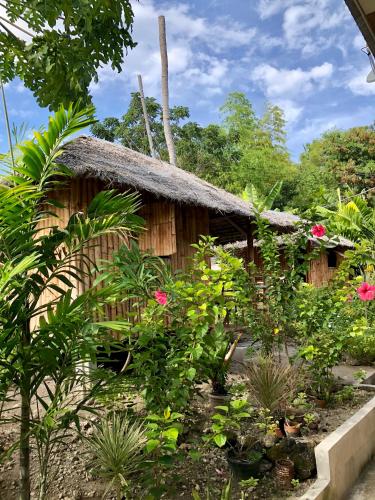 Sharky Hostel Oslob – Oslob, IL
