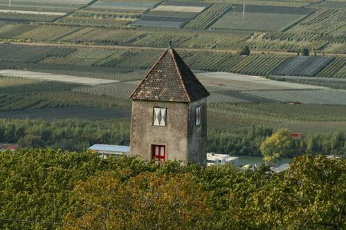 Appartement im Grünweinhof - main image