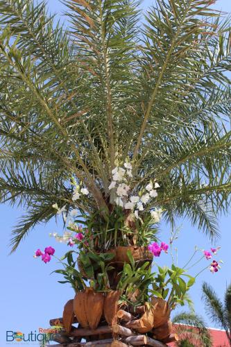 Fantastic Mountain Palm & Orchids View Phuket Paradise Resort Villa Fantastic Mountain Palm & Orchids View Phuket Paradise Resort Villa 1 BR for Ren