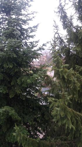 Hotel Breaza - image 12