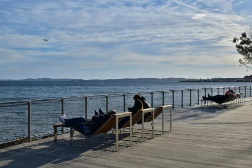 โฮเทล คลับ เลอ แปล็ง ซุด วาก็องซ์ เบลอ (Hotel Club Le Plein Sud Vacances Bleues) in ไฮเยเรส