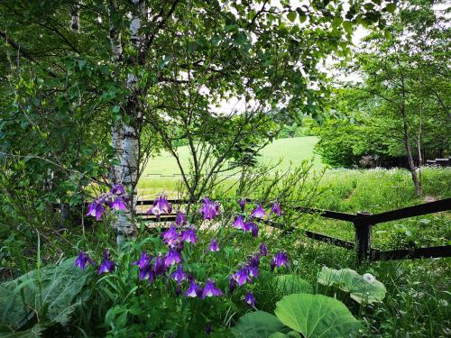 Garden, Pension Raclette in Nakafurano