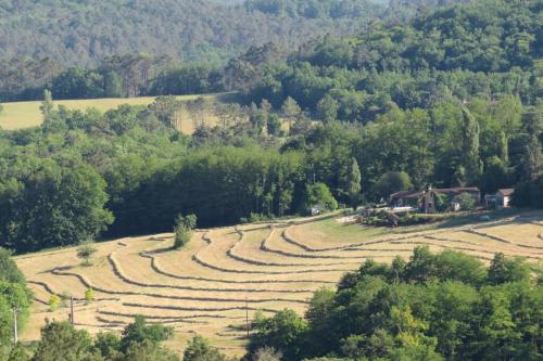 luxury hotels in Montreal