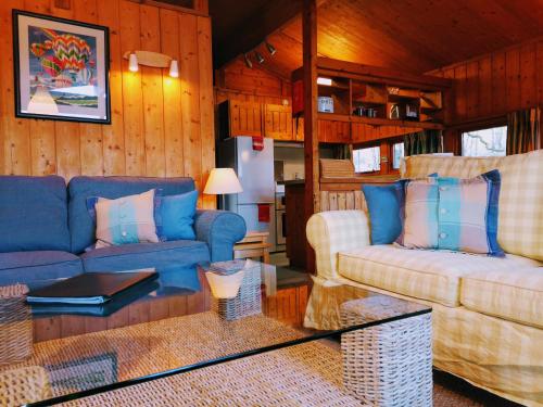 Conifer Chalet 5