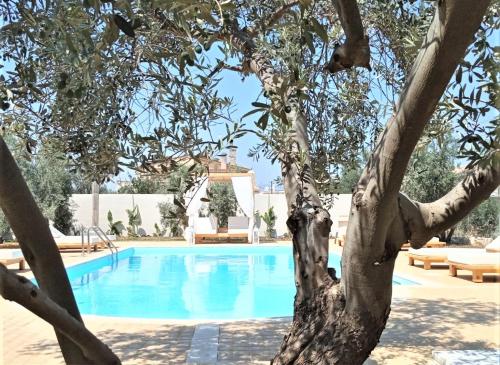  Sea & Sun Luxury Villas, Unterkunft in Kato Almiri