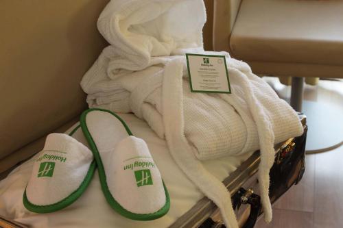 Holiday Inn Turin Corso Francia - image 13