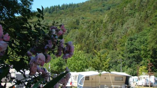 Camping Wies-Neu