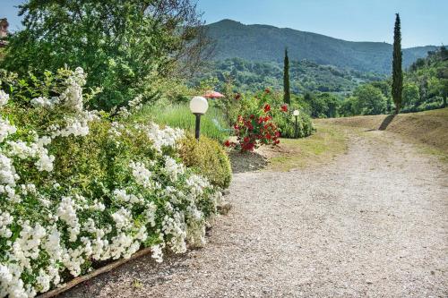 Agriturismo Il Casalino