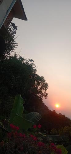 Doitung Home stay(ดอยตุงโฮมสเตย์2) ( Doitung Home stay(ดอยตุงโฮมสเตย์2) )