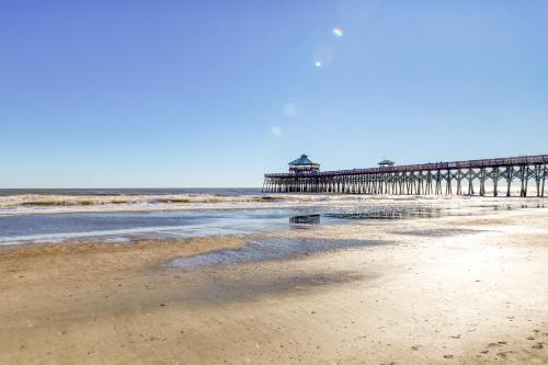 Sea Urchin in Folly Beach, USA