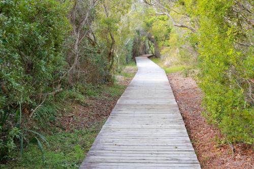 Catesby's Bluff 2240 - image 6
