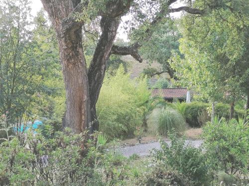 Vivenda A Nossa Coroa