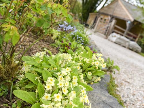 Mimi's Cottage - image 7